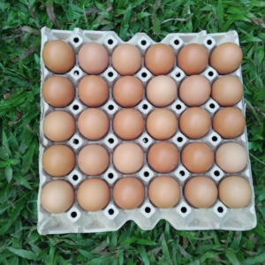 ไข่ไก่ออารมณ์ดี เบอร์ 3